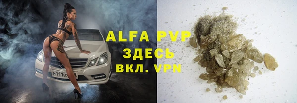 индика Слюдянка