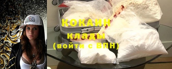 индика Слюдянка