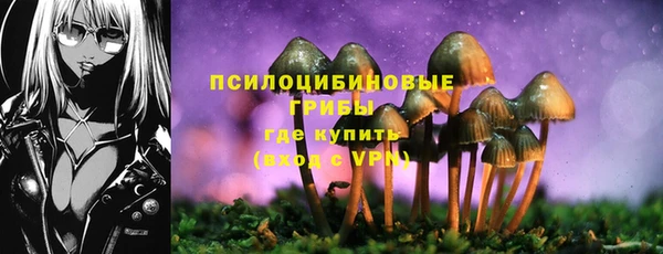 индика Слюдянка